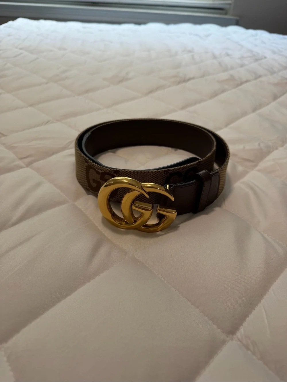 Gucci Brown GG Logo Canvas Belt with Gold Double G Buckle